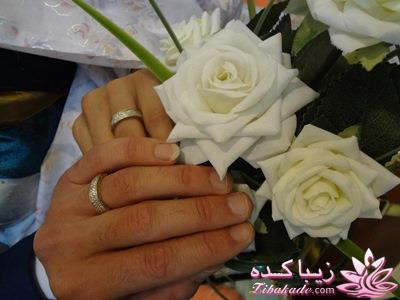 .:آلبوم عکسهای خودگرفته ما:.